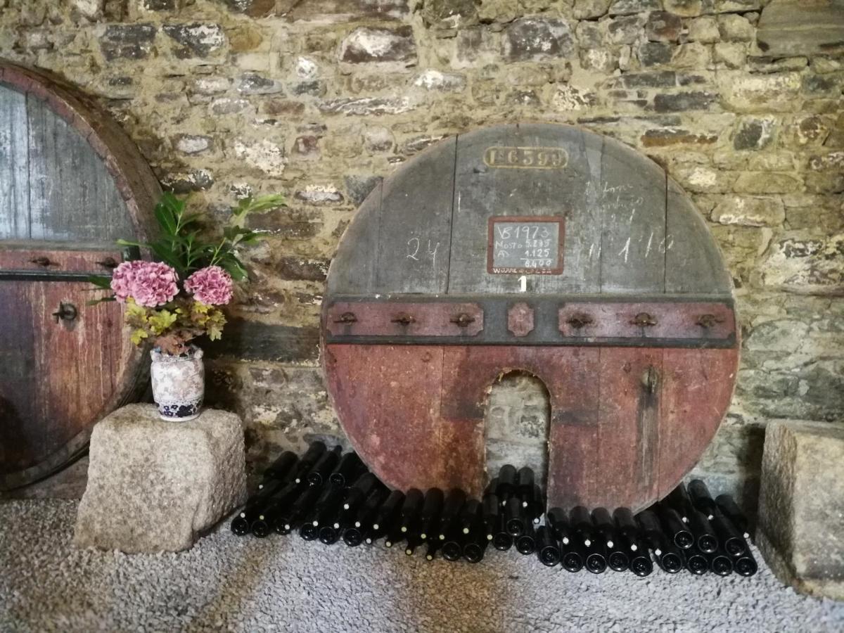 Quinta Do Fojo Bed & Breakfast Lamego Eksteriør bilde