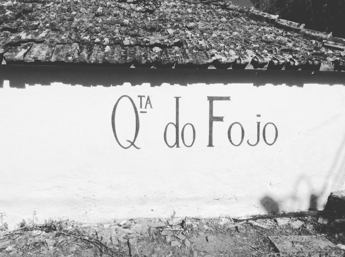 Quinta Do Fojo Bed & Breakfast Lamego Eksteriør bilde