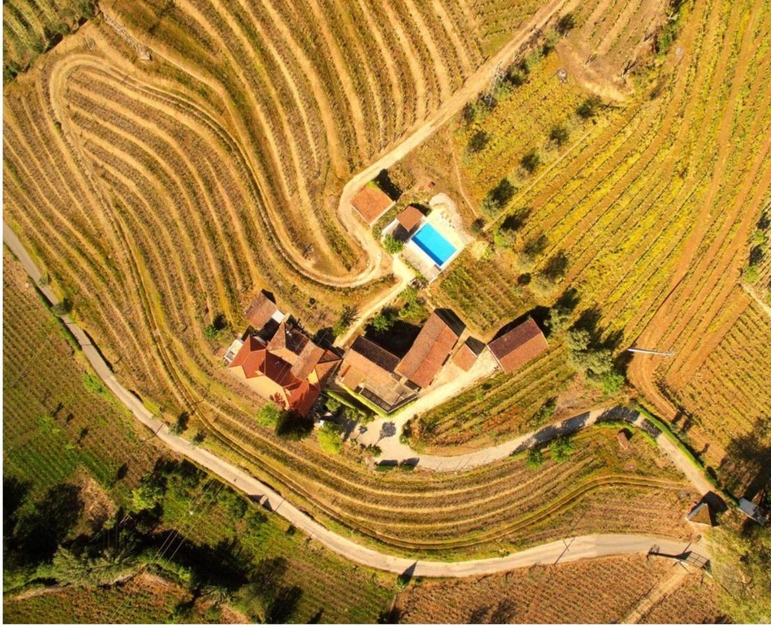 Quinta Do Fojo Bed & Breakfast Lamego Eksteriør bilde