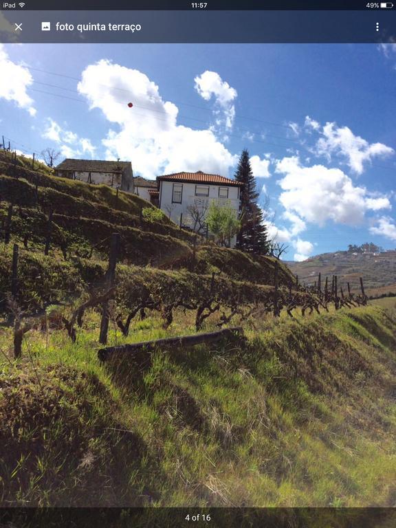 Quinta Do Fojo Bed & Breakfast Lamego Eksteriør bilde