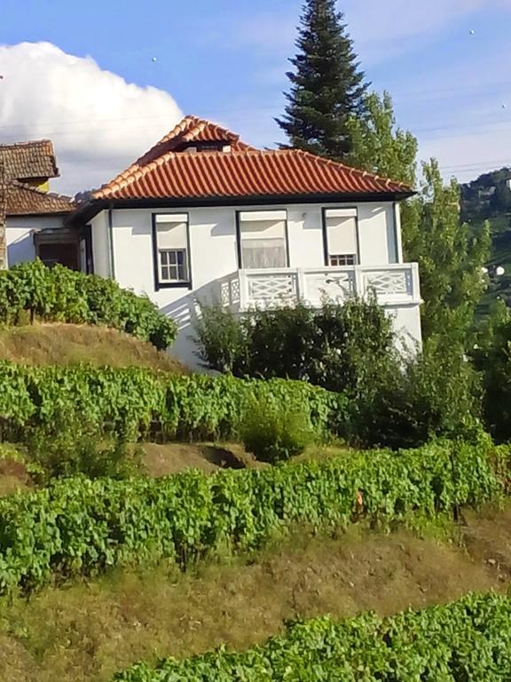 Quinta Do Fojo Bed & Breakfast Lamego Eksteriør bilde