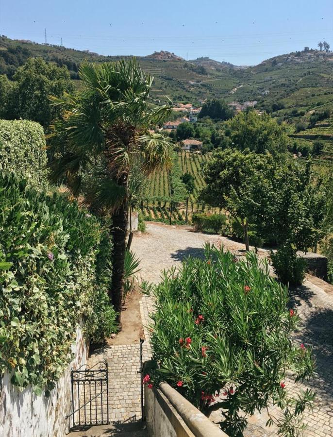 Quinta Do Fojo Bed & Breakfast Lamego Eksteriør bilde